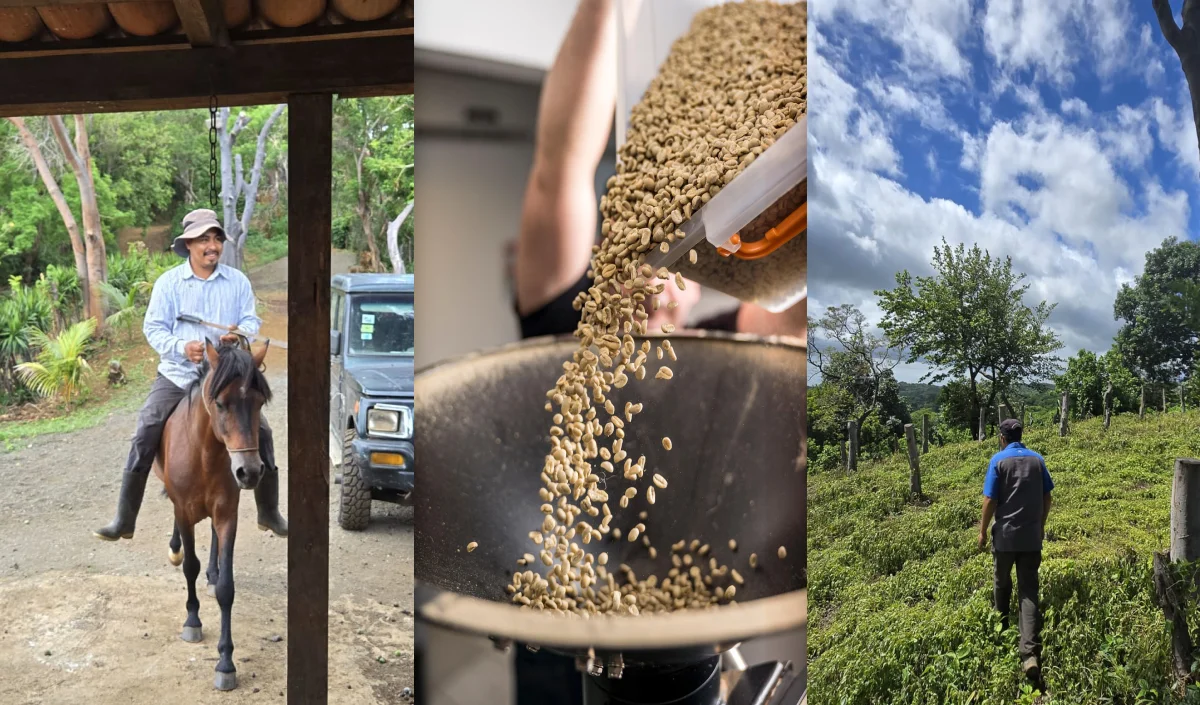 Team working the fields